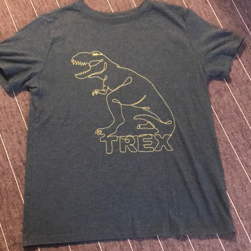 Boys Dino Tee